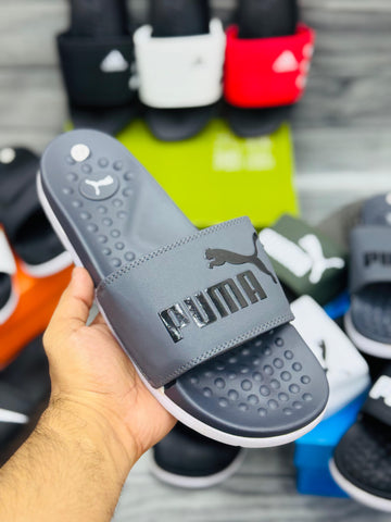 Puma Slide