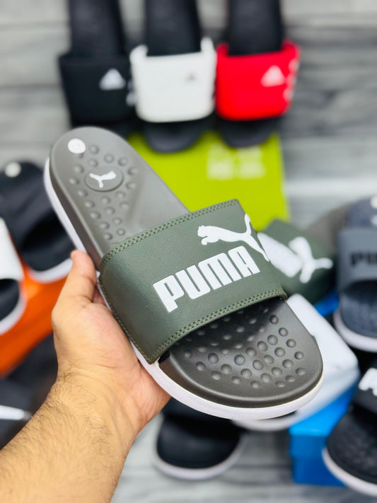 Puma Slide