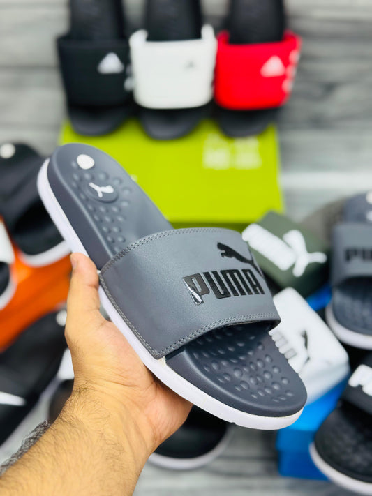 Puma Slide